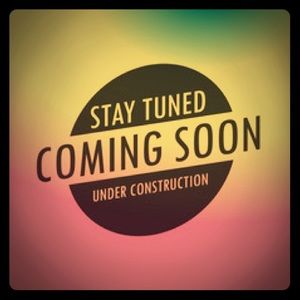 Cleaning out my closet!!! Clothes purses and more!